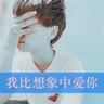 整蛊专家